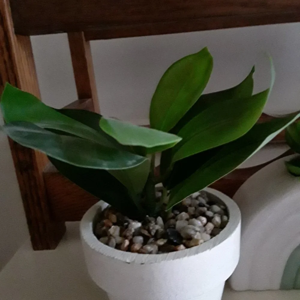 Trio of Ceramic Planters with Plastic Plants